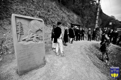 IMG_7613