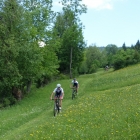 DSC07228_resize