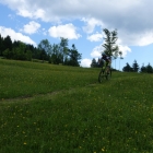 DSC07239_resize