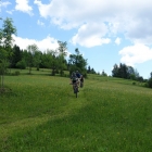 DSC07250_resize