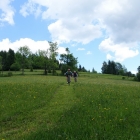 DSC07277_resize