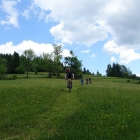 DSC07284_resize