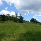 DSC07342_resize