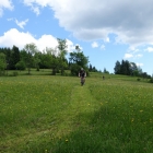 DSC07345_resize
