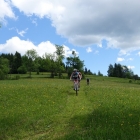DSC07354_resize