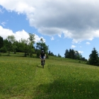 DSC07364_resize