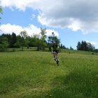 DSC07378_resize