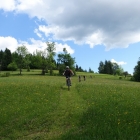 DSC07384_resize