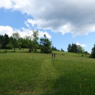 DSC07385_resize