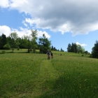 DSC07386_resize