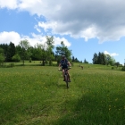 DSC07387_resize
