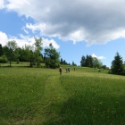 DSC07389_resize
