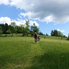 DSC07390_resize