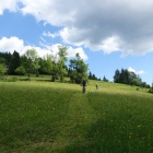 DSC07394_resize