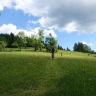 DSC07395_resize