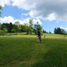 DSC07396_resize