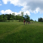 DSC07411_resize