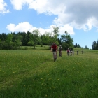 DSC07412_resize