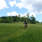 DSC07424_resize
