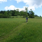 DSC07427_resize