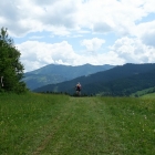 DSC07489_resize