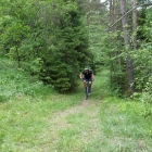 DSC07530_resize