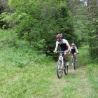 DSC07545_resize