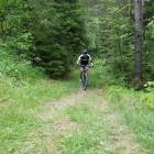 DSC07549_resize