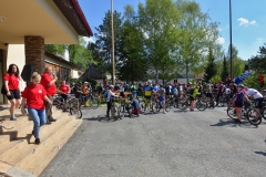 DSC08847_resize