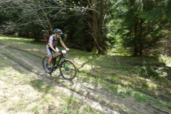 DSC08914_resize