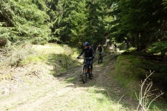 DSC08935_resize