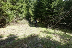 DSC08968_resize