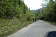DSC09165_resize