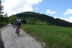 DSC09238_resize