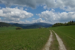 DSC09315_resize