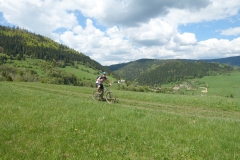 DSC09325_resize