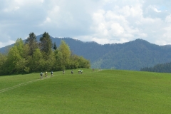 DSC09328_resize