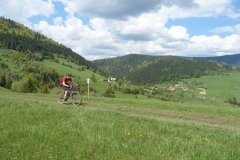 DSC09330_resize