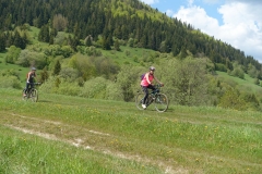 DSC09334_resize