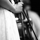 IMG_6605
