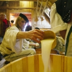 Rosadz (283 of 304)_resize