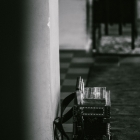 Rosadz (43 of 304)_resize