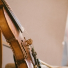 Rosadz (70 of 304)_resize