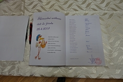 DSC08780_resize