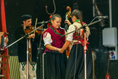 IMG_0586_resize