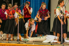 IMG_0718_resize