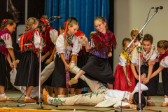 IMG_0719_resize