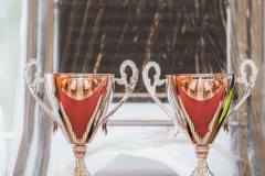 DSC07726-Enhanced-NR