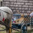 IMG_3601