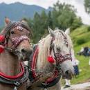 IMG_3616